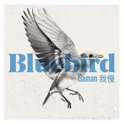 Diorama Sound Recording Bluebird